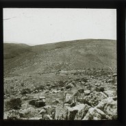 Böhl glass slide 59./1390